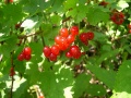 Thumbnail for version as of 18:36, 29 April 2014