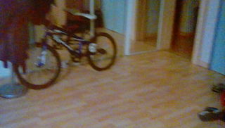 File:Vélo-Ptitloulou.jpg