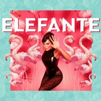 NK - Elefante.jpg