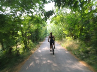 File:Cathie on her VTT-7465.jpg