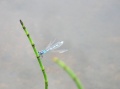 Thumbnail for version as of 15:28, 7 May 2009