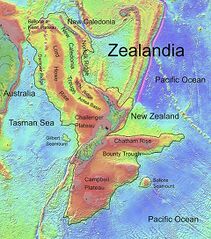 File:Carte topographique de Zealandia.jpg