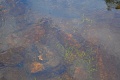 Thumbnail for version as of 09:10, 13 May 2014