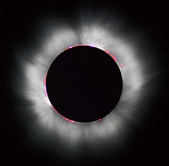 File:Eclipse solaire-7254.jpg
