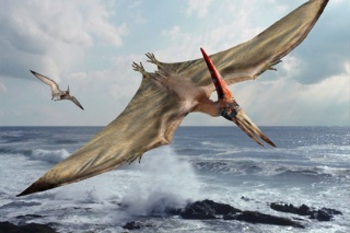 File:Pteranodon-388487.jpg