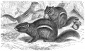 Thumbnail for version as of 21:29, 3 May 2010
