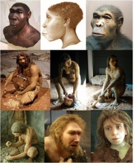 File:Homo-Hommes préhistoriques.jpg