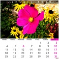 Thumbnail for version as of 14:17, 17 March 2013