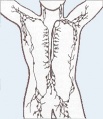 Thumbnail for version as of 11:41, 30 April 2014