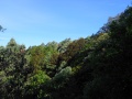 Thumbnail for version as of 16:39, 30 May 2014