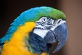 Thumbnail for version as of 16:17, 23 December 2011