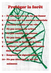 File:PROTEGER LA FORET.jpg