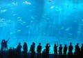 Thumbnail for version as of 16:35, 22 April 2011