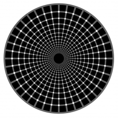 File:Illusion d'optique-ronds blancs-ronds noirs.png