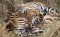 Thumbnail for version as of 17:48, 15 June 2012