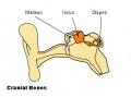 Thumbnail for version as of 08:34, 22 May 2014