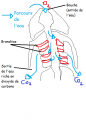 Thumbnail for version as of 16:51, 17 July 2014