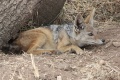 Thumbnail for version as of 16:29, 19 February 2011