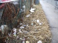 Thumbnail for version as of 11:51, 27 July 2012