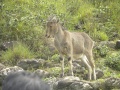 Thumbnail for version as of 08:00, 17 June 2014