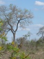 Thumbnail for version as of 12:46, 15 March 2009