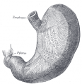 Thumbnail for version as of 09:00, 25 April 2014