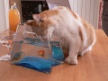 Thumbnail for version as of 12:04, 18 February 2012