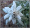 Thumbnail for version as of 08:20, 9 April 2009