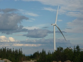 File:OLIENN.jpg