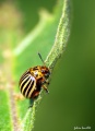 Thumbnail for version as of 21:20, 8 September 2011