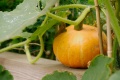 Thumbnail for version as of 21:43, 1 April 2013
