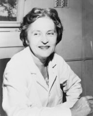 File:Maria Telkes NYWTS.jpg