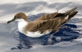 Thumbnail for version as of 06:33, 9 June 2012