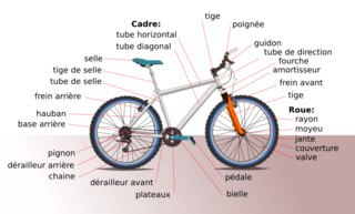 File:Diagramme bicyclette-vélo-velo-vtt.png