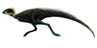 File:Pisanosaure-Pisanosaurus.jpg