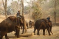 Thumbnail for version as of 09:15, 11 June 2010