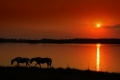 Thumbnail for version as of 18:06, 12 March 2012