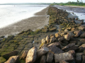 Thumbnail for version as of 11:56, 26 November 2014