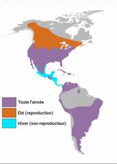 File:Falco sparverius range map.svg.jpeg