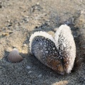 Thumbnail for version as of 12:56, 24 December 2011