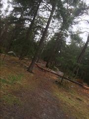 File:Skogen bakom Byelsvägen.jpeg