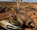 Thumbnail for version as of 19:48, 22 April 2012
