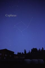 File:CepheusCC.jpg