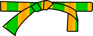 File:800px-Ceinture orange verte.png