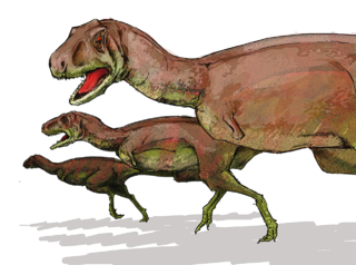 File:Aucasaure-Aucasaurus dinosaur.png