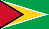 Drapeau-Guyana.png