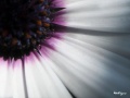 Thumbnail for version as of 19:33, 17 July 2013