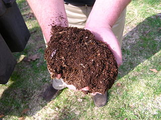 File:Compost-8062.jpg