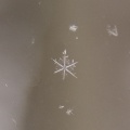 Thumbnail for version as of 22:55, 8 February 2012