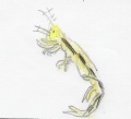 Thumbnail for version as of 13:48, 15 December 2008